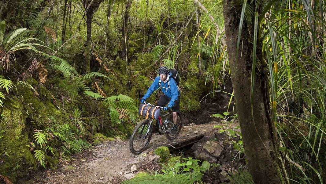 A mountain biker riding through dense bush along a track.