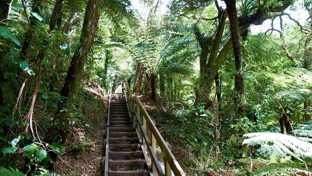 A shot taken from the bottom of a set of stairs in the bush.