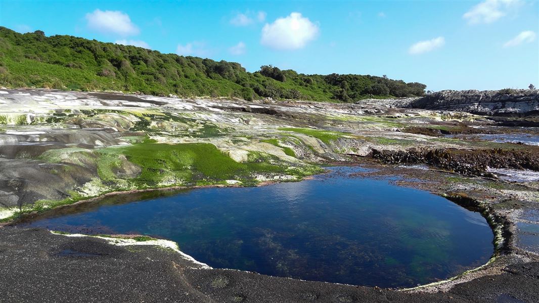 Chatham Islands coast. 