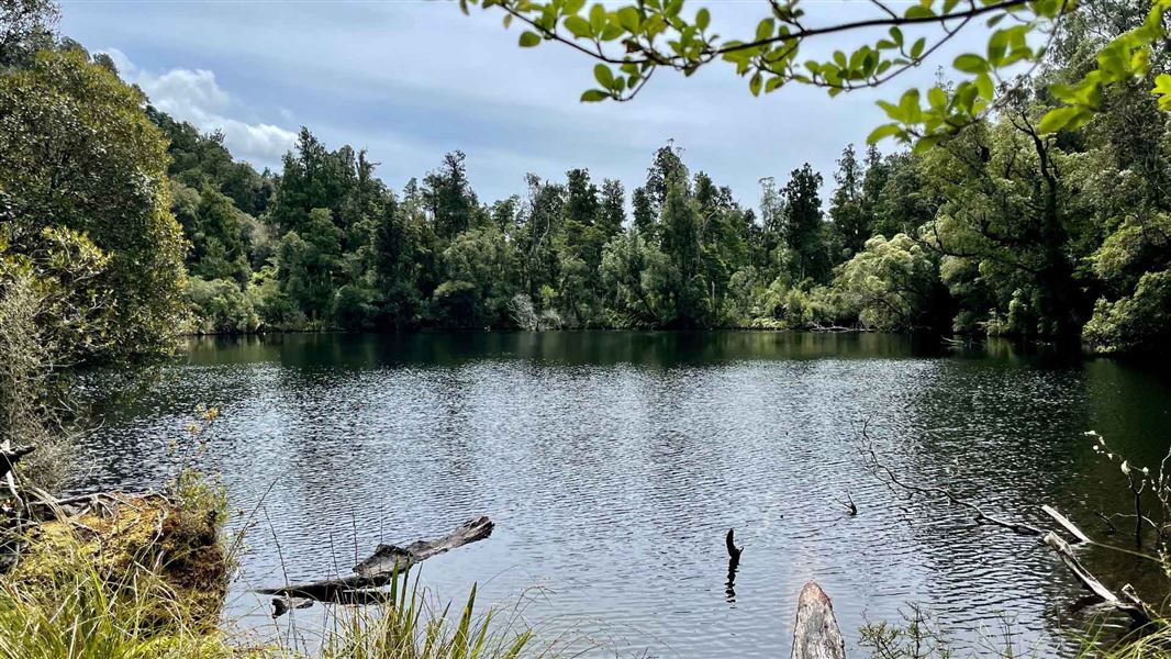 Lake surrounded by trees.