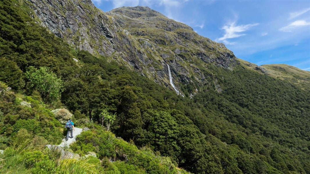 Earland Falls Routeburn Track.