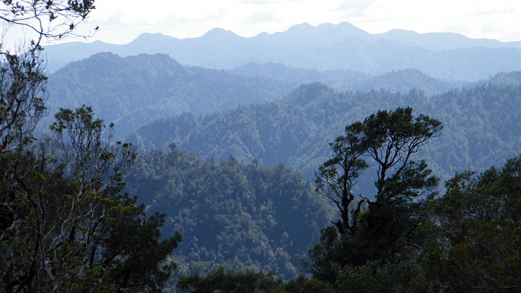 The Raukumara Ranges. 