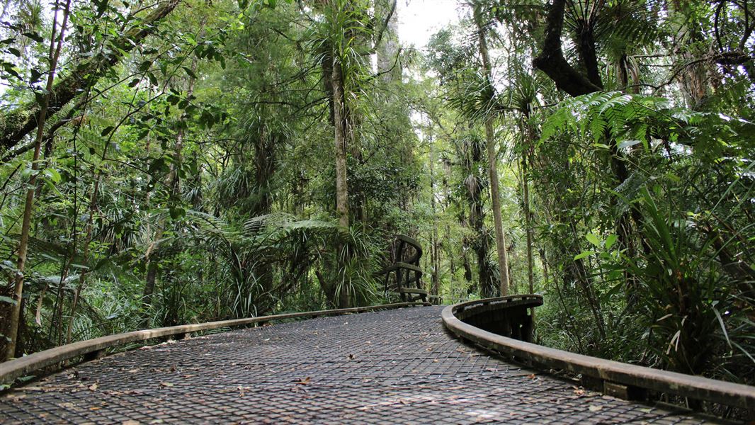 Puketi Nature Trail.