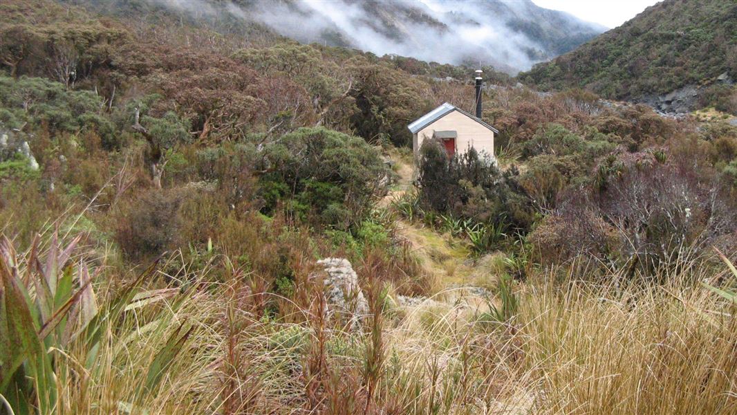 Top Toaroha Hut. 