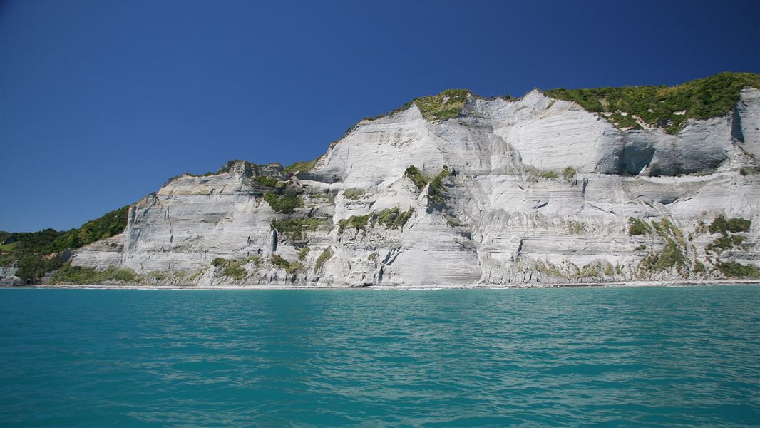 White cliffs along the Taranaki Coast.