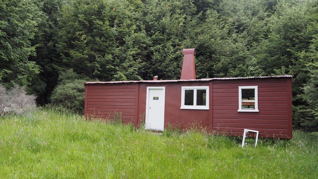 Old wooden hut with long grass and bush surrounding it. 