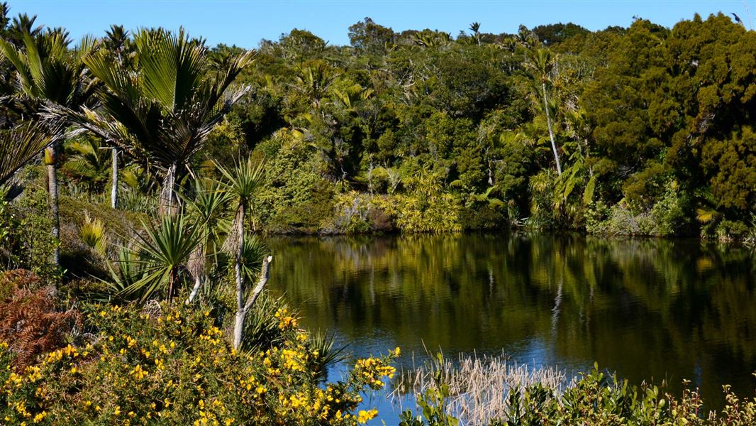 Kaihoka Lakes. 