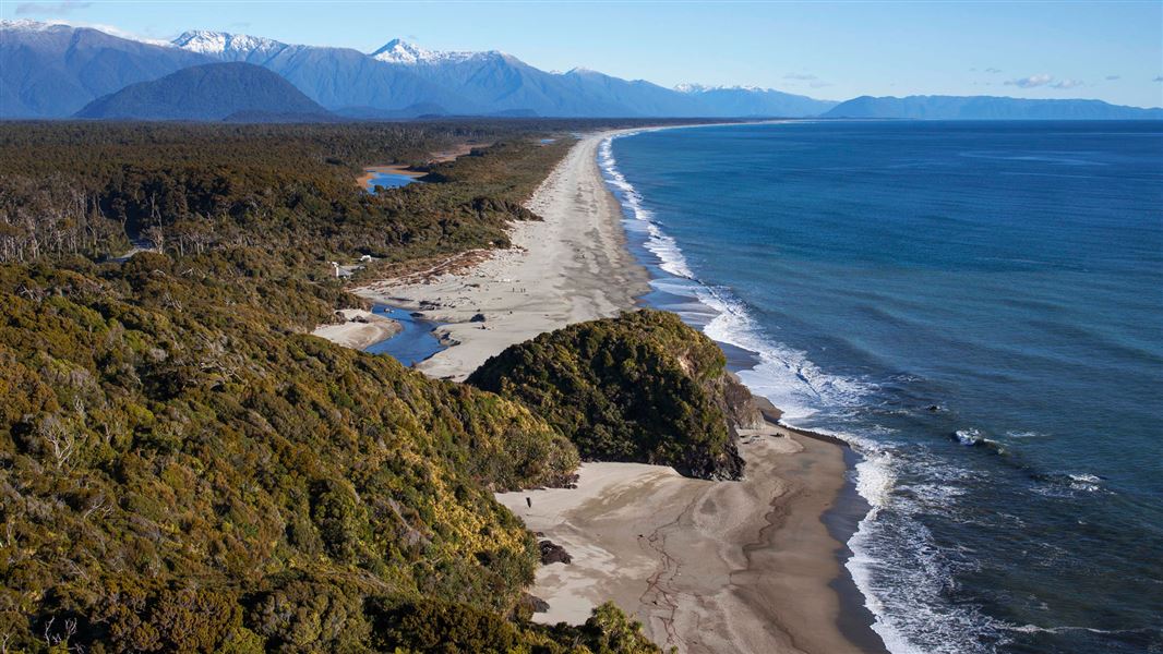 Tauparikākā coastline