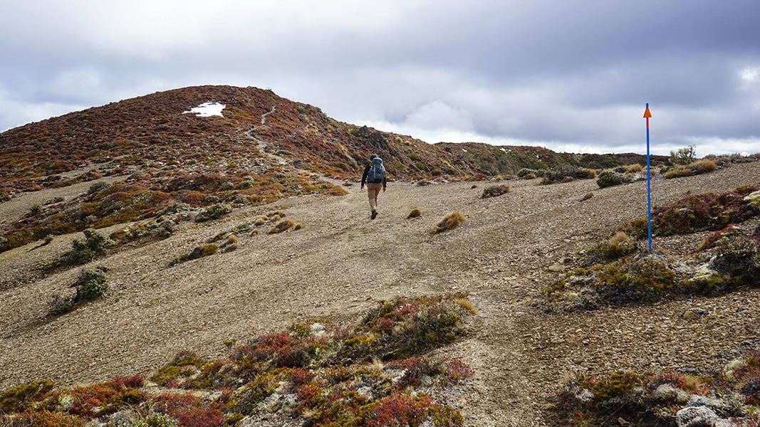 Hiker on the Umukarikari Track