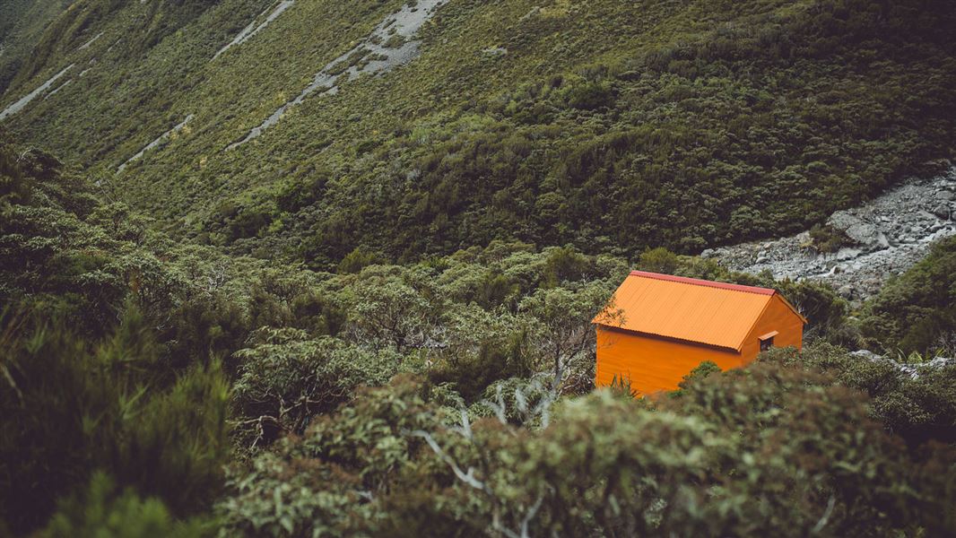 Small orange building in bush.