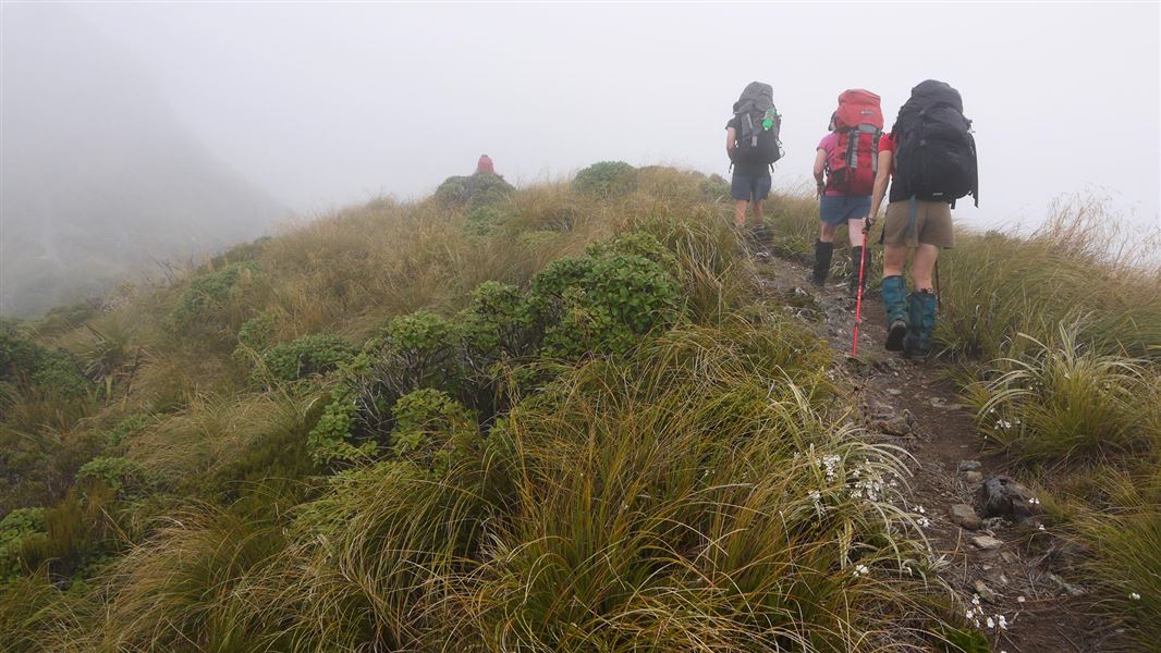 Hikers on Tararua Southern Crossing. 