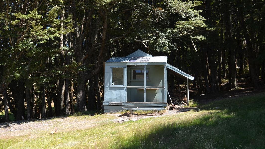 Shamrock Hut.