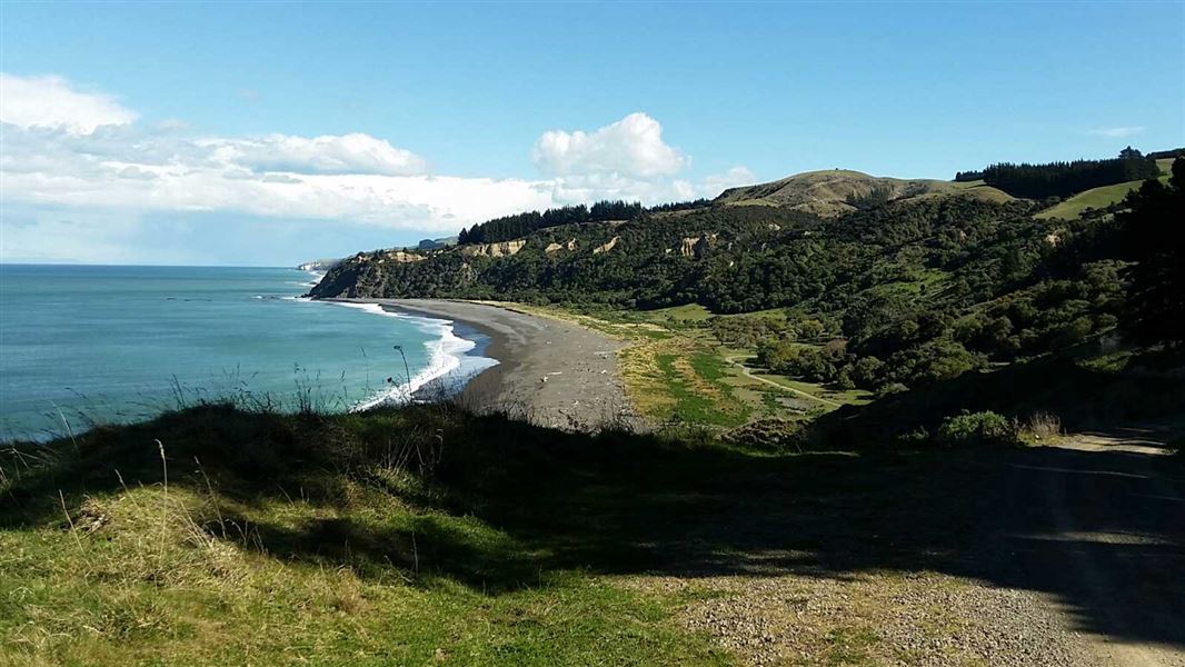 Manuka Bay Track