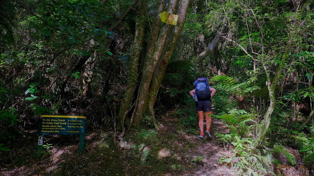 Junction of Waiopehu Track and Ohau Valley Track