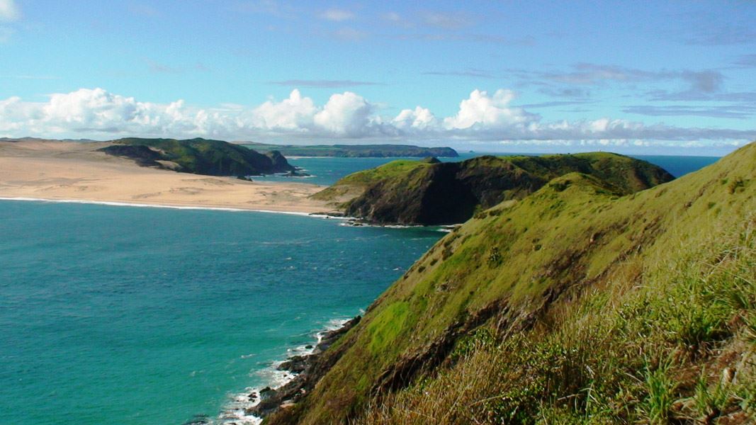 View of Cape Maria van Diemen from Motuopao Island. 