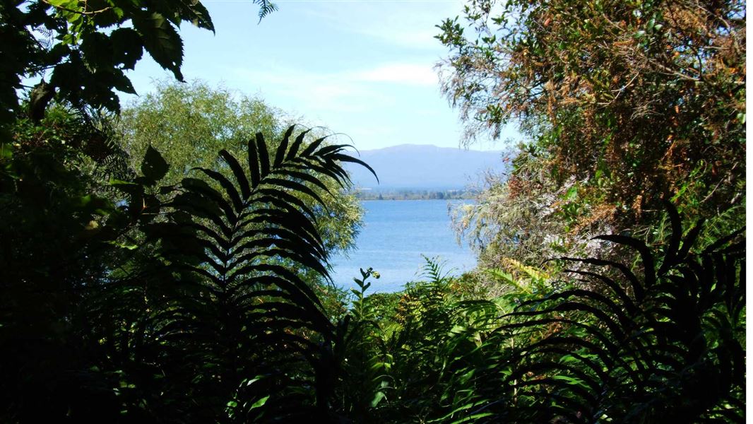 Lake Taupo. 