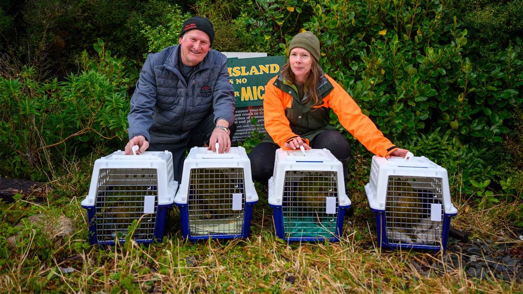 Coal Island Trust chair Ali King and DOC Operations Manager for Kākāpō Deidre Vercoe with the four male kākāpō in bird relocation boxes. 