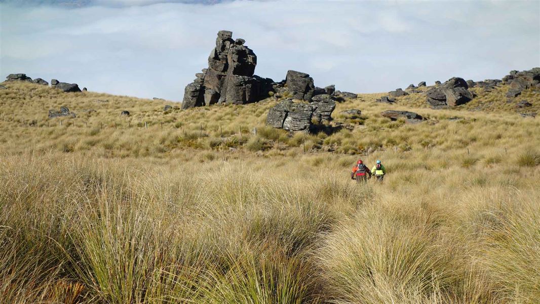 View upwards towards a group of large rocks jutting out of the tussock on a ridge. Two people on bikes can be seen riding amongst the tussock.