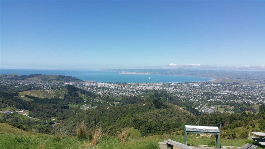 View from lookout on Te Kuri walkway.