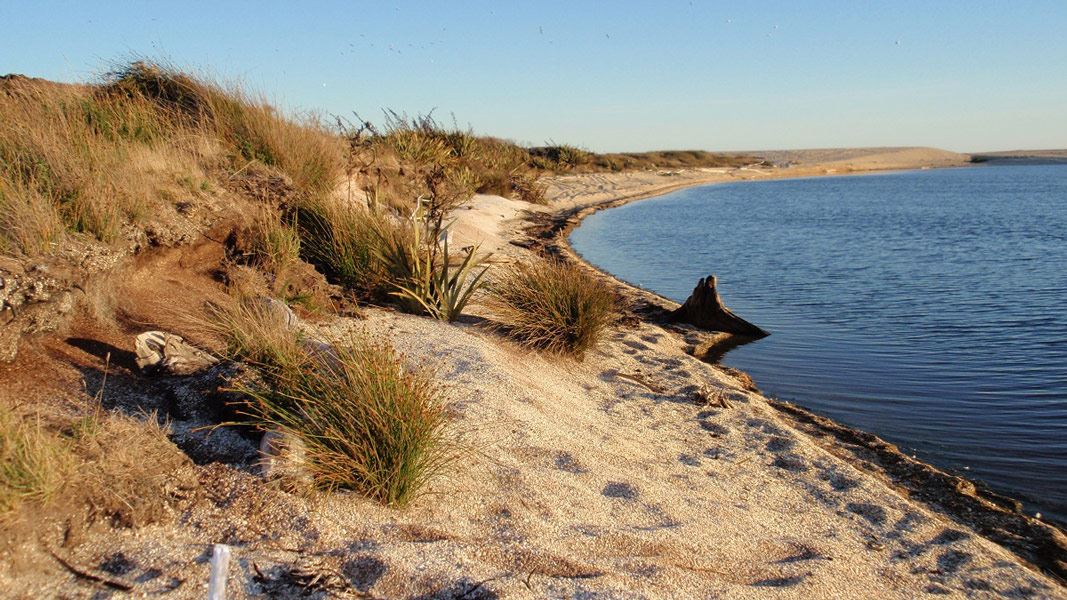 Waituna Lagoon. 