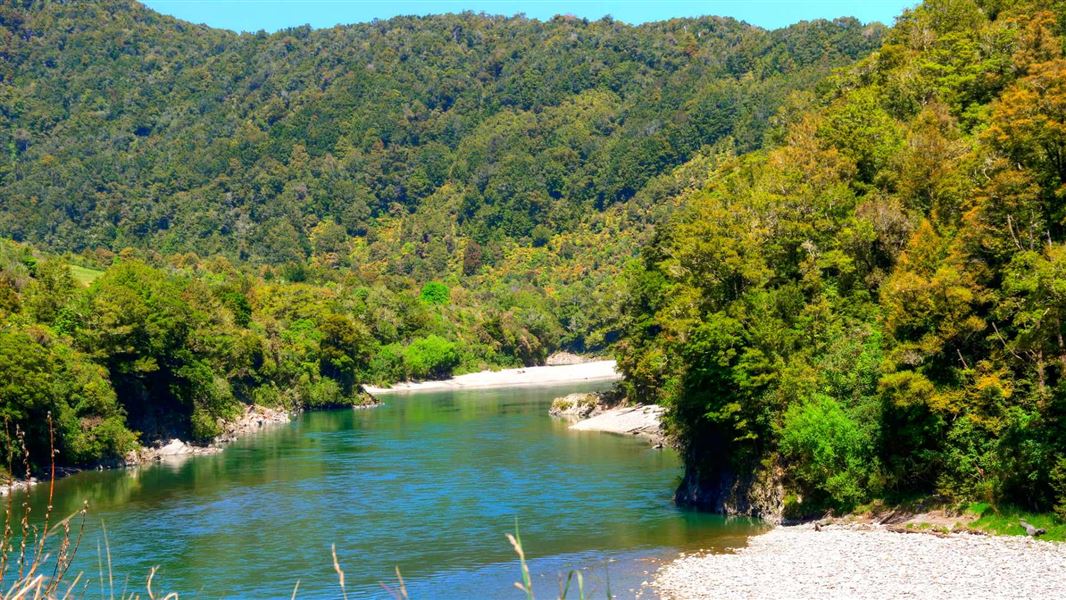 Buller River, West Coast