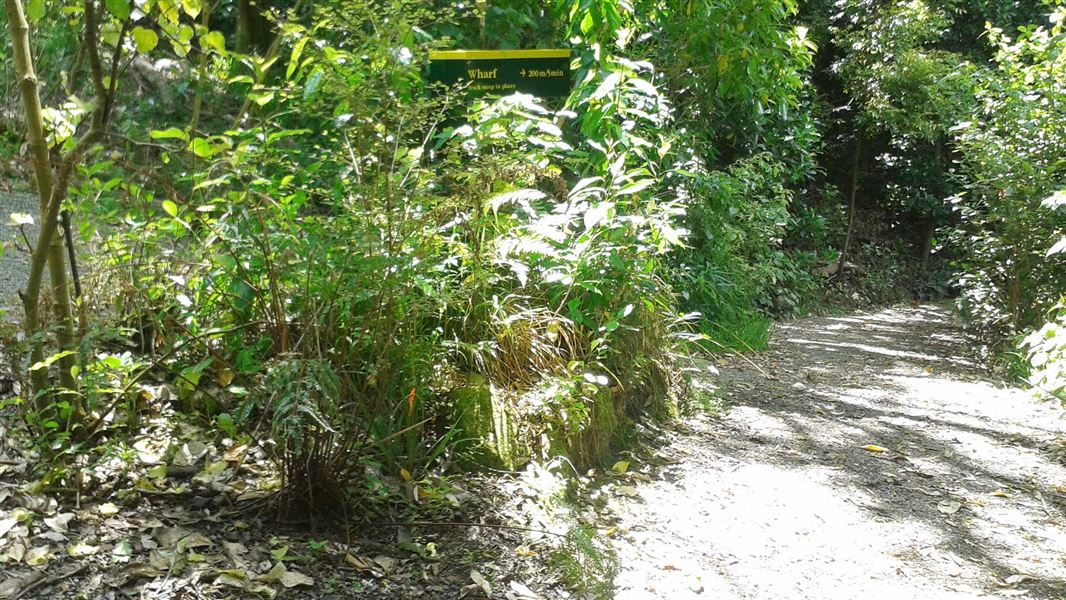 Matiu/Somes Island Bullock Track. 