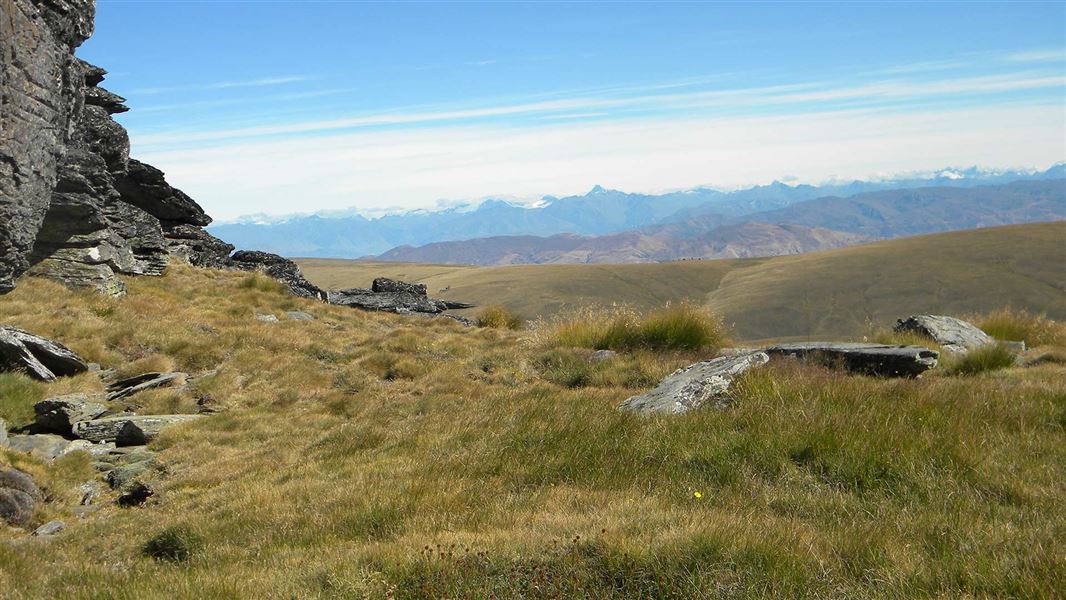 Southern Alps