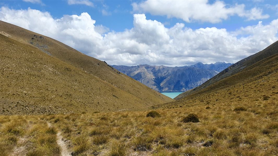 Grassy hills with view of water in distance