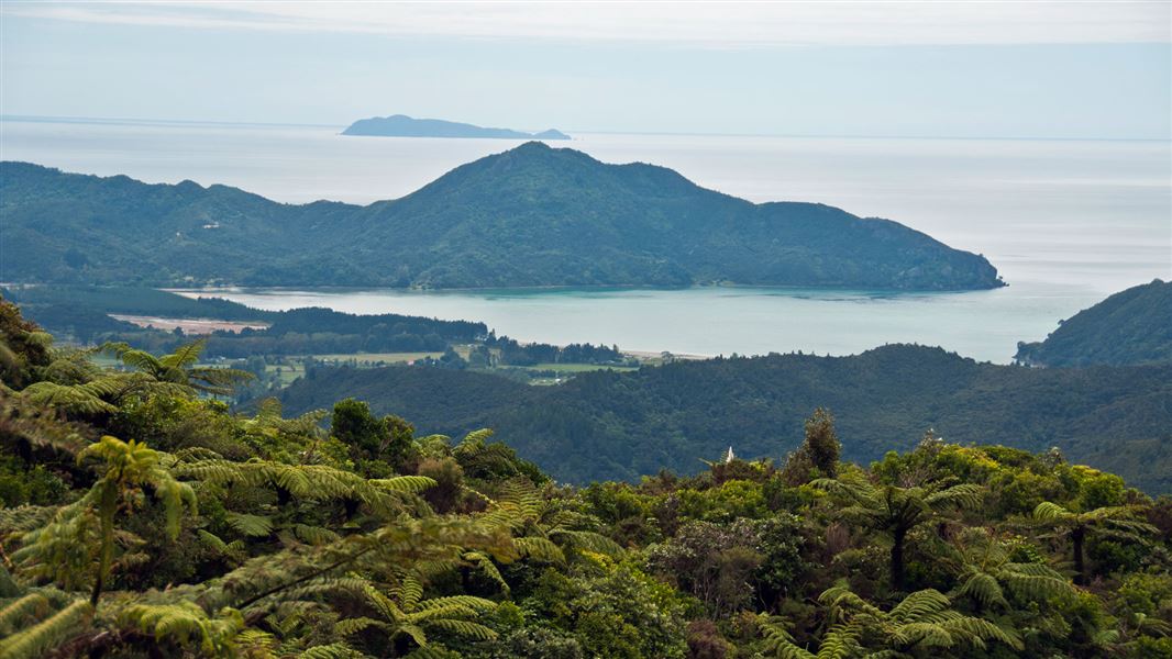 View from the top of the Tokatea Hill. 