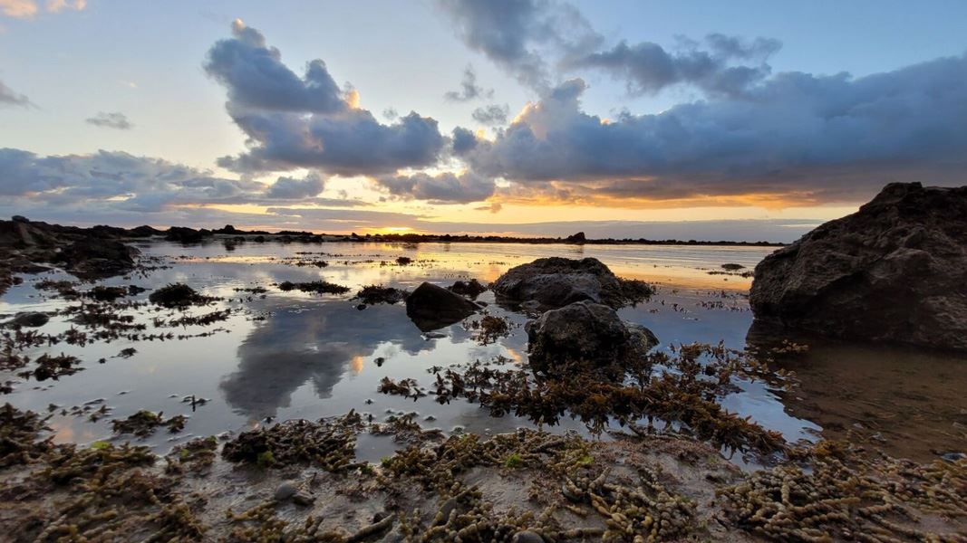 Sunrise at Te Angiangi Marine Reserve.