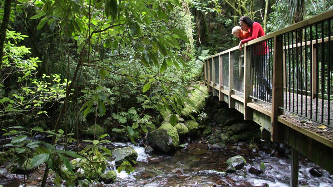 Mangakara Nature Walk. 