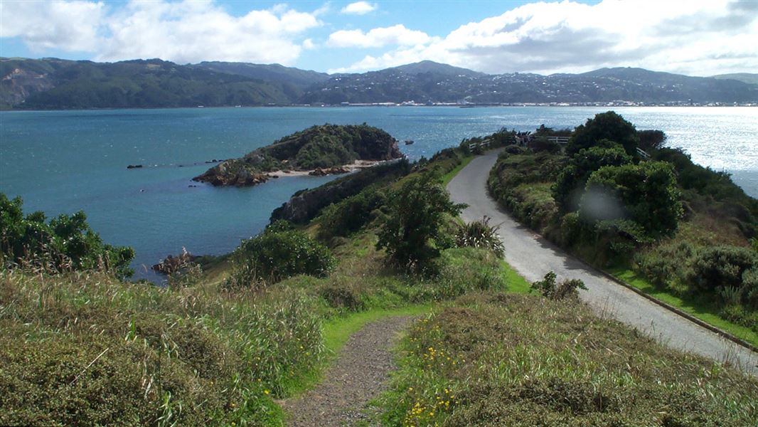 Matiu/Somes Island main road. 