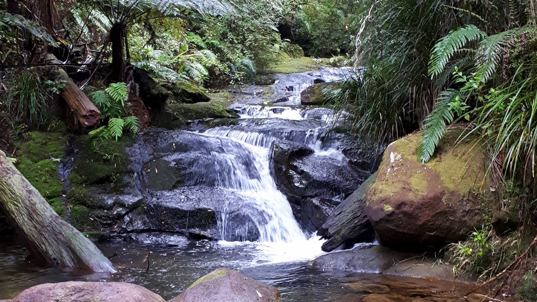 Stream flowing down rocks.