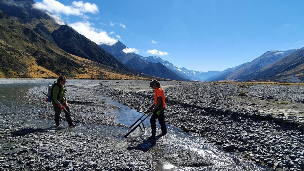 Two DOC staff electrofishing for  Upland Longjaw Galaxias in the Mackenzie Basin. 