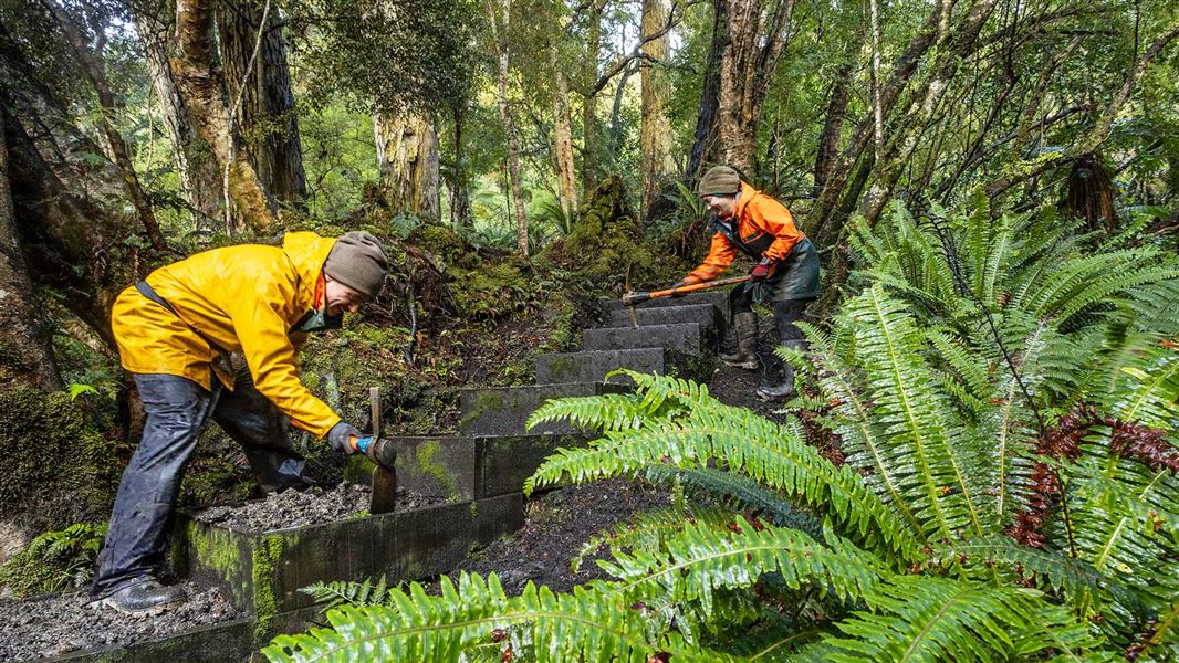 Rangers clearing stairs on Stewart Island/Rakiura.