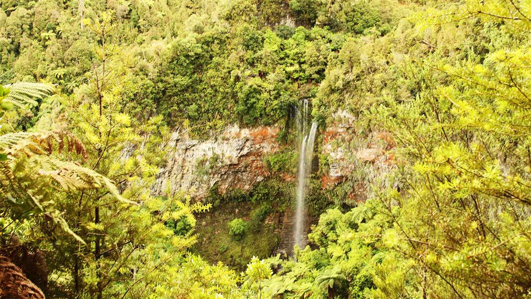 Tupapakurua Falls. 