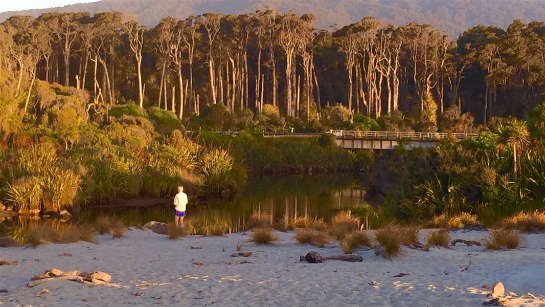 Ship Creek, West Coast