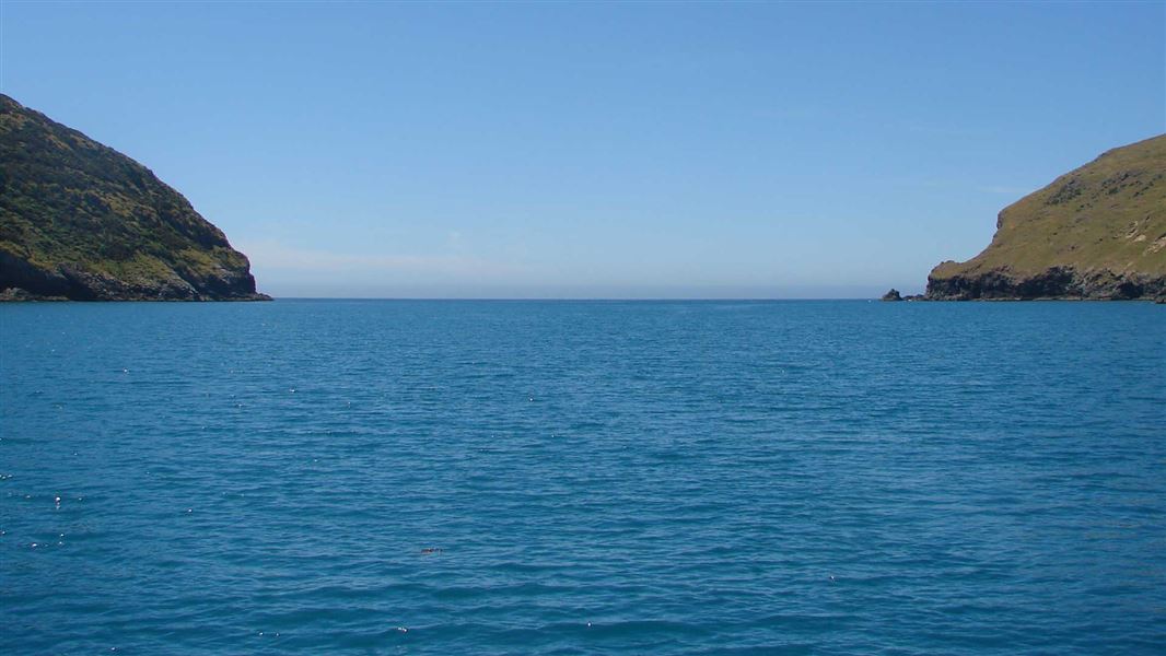 Pohatu Marine Reserve.