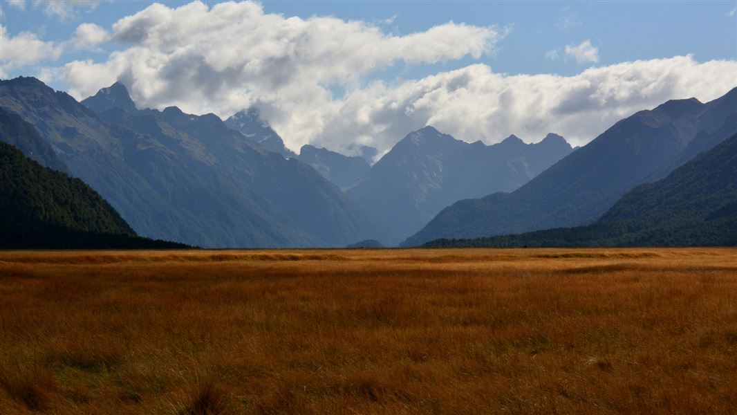 Hollyford Valley