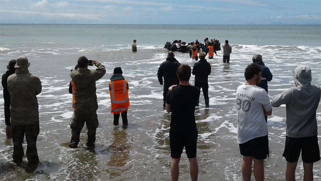 Orca being refloated on a pontoon in the sea. 