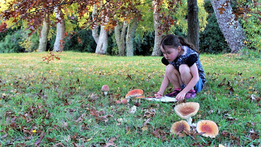 A young girl crouching with a notepad, amazed by large mushrooms growing in the forest.