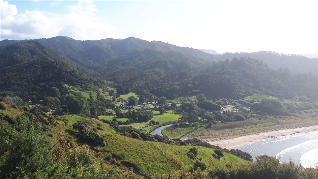 Waikawau Bay Camp View