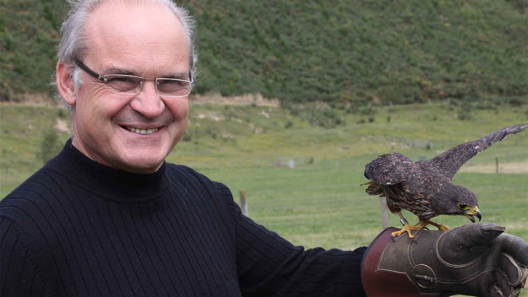 A falcon rests on the arm of a man in nature