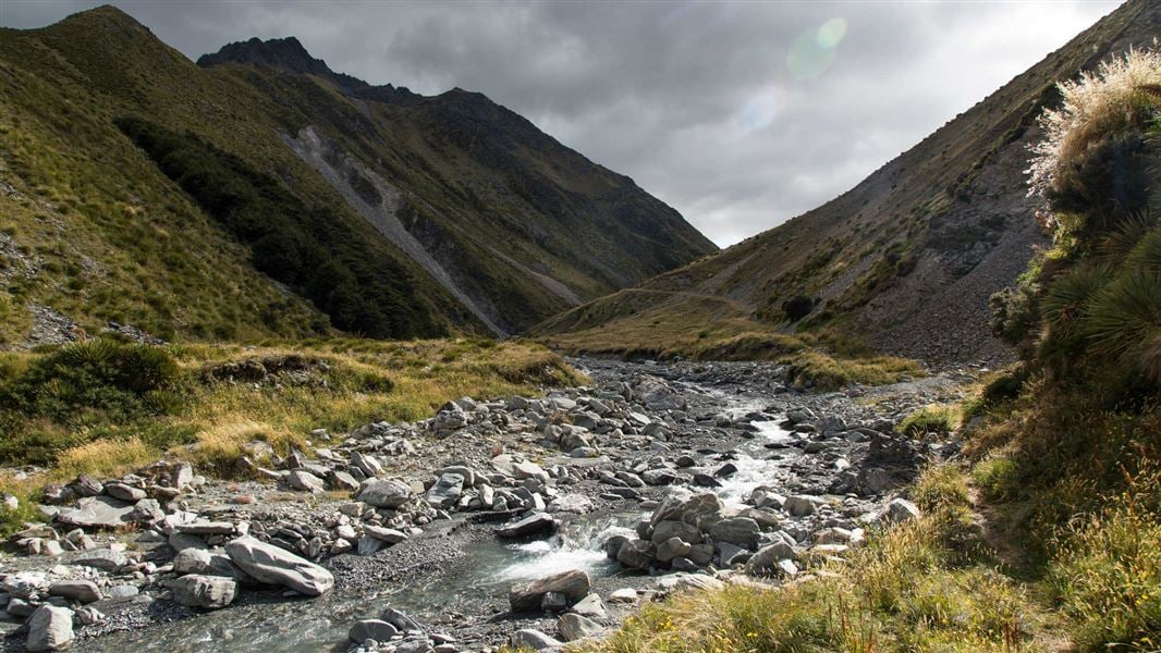 Avon Burn track, top timaru hut.