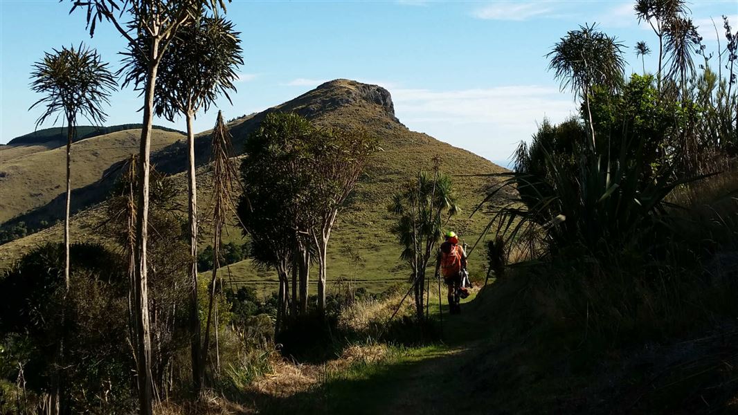 Packhorse hut to Mt Herbert.