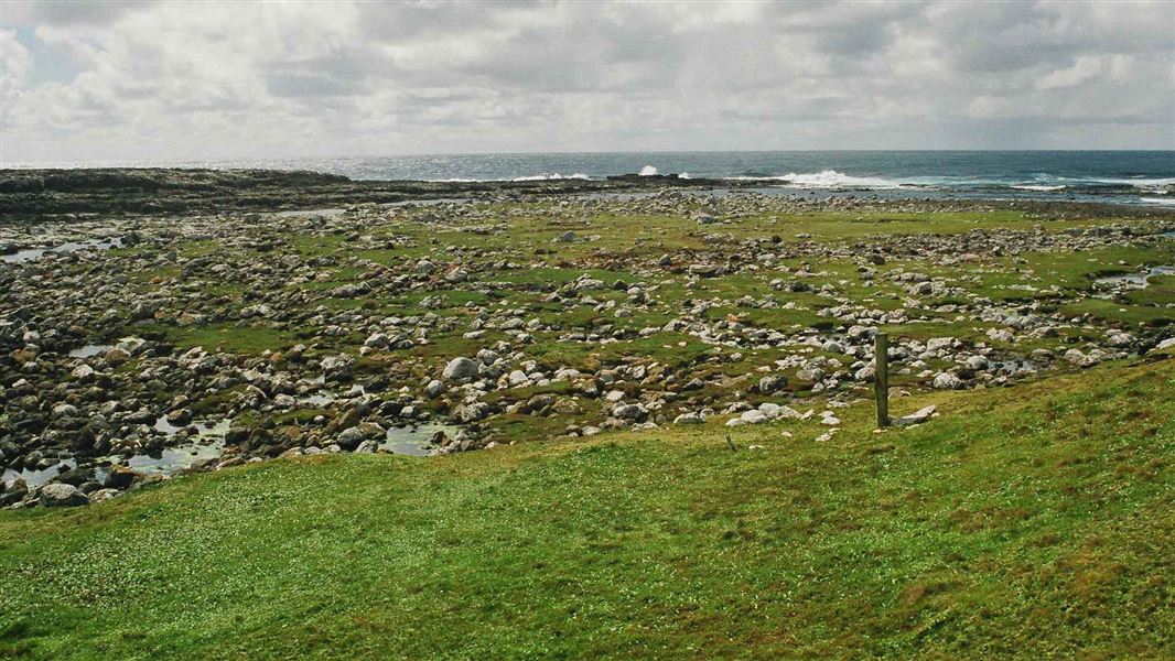 Derry Castle Burial Site, Auckland Island. 