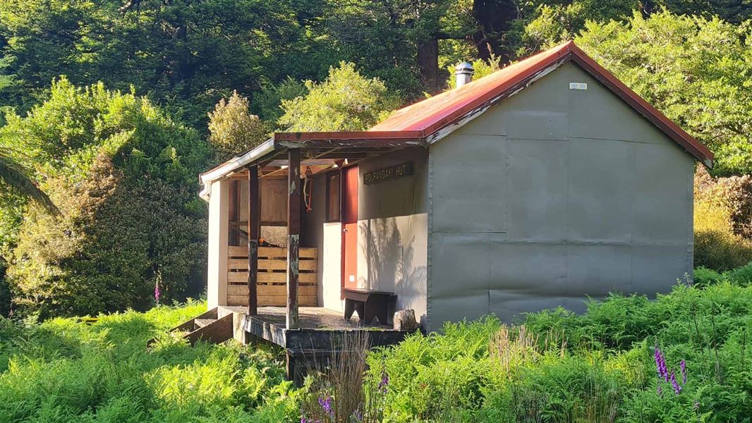 Small hut with veranda surrounded by ferns and bush. 