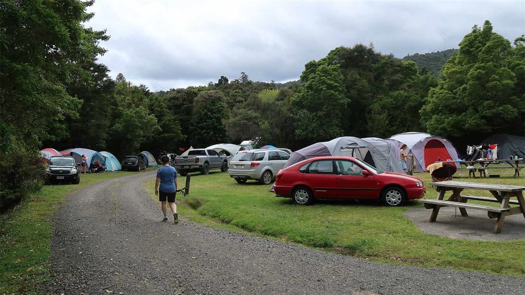 Whangaiterenga Campsite — photo 2