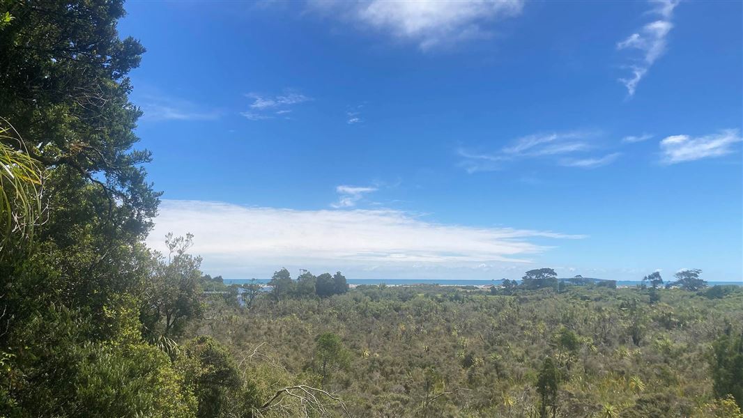 The view of the Open Bay Islands from the lookout