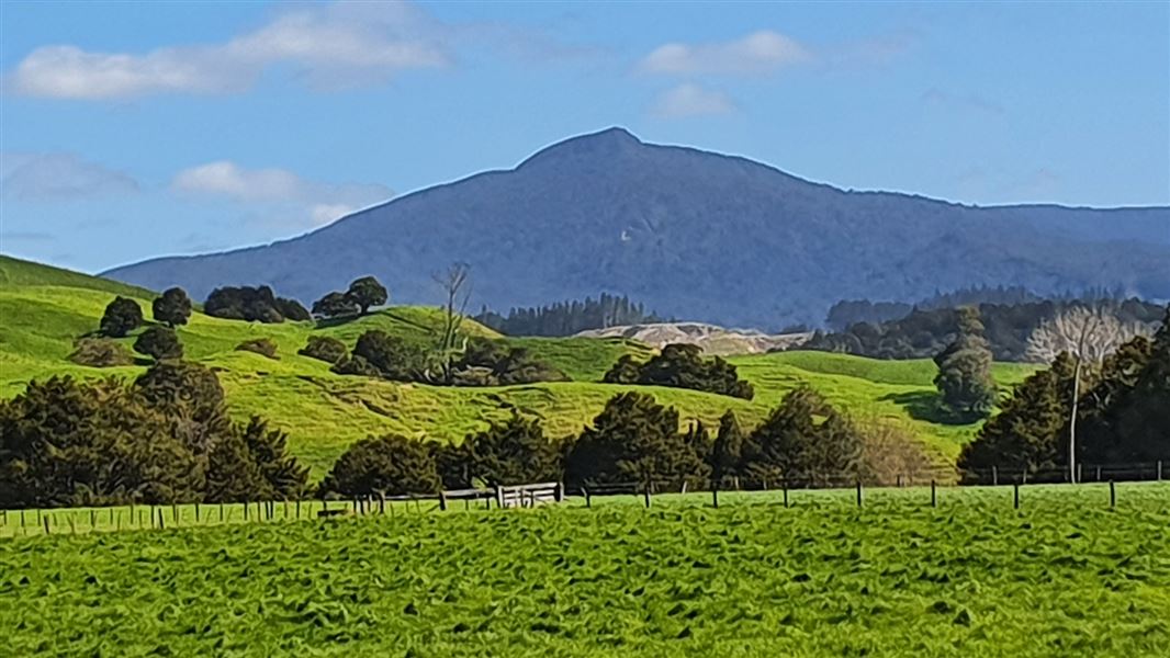 A picture of a field and a mountain.